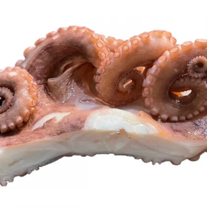 Frozen-Octopus-Tentacles-CrownCut-2